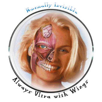 CD Normally Invisible — Staalplaat